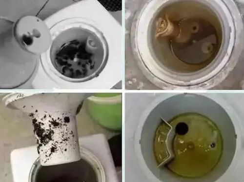 三个月不清洗饮水机会怎么样,看完这篇才知道 桶装水 细菌 网易订阅