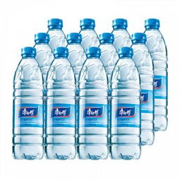 康师傅包装饮用水550ml 12瓶 整箱
