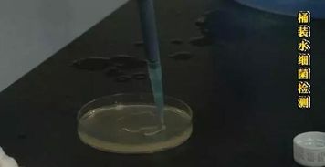 到底谁才是导致桶装水细菌滋生的罪魁祸首