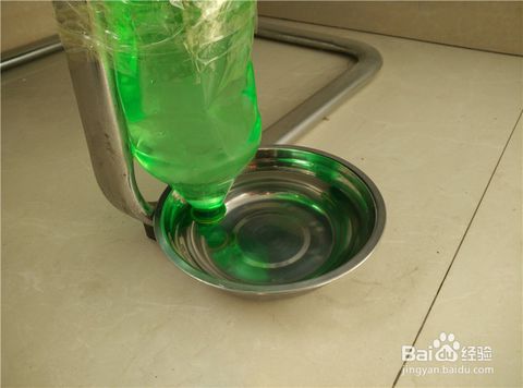 大饮料瓶改造 自动洗手瓶 宠物自动饮水装置