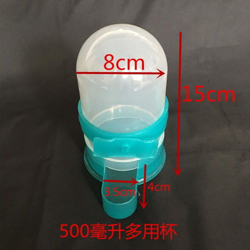 鸽子鹦鹉自动饮水器水壶米壶喂食器鸟类足环信鸽用品猫咪喝水神器