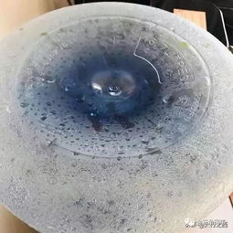 运城 365度桶装饮用水喝出了 绿水藻