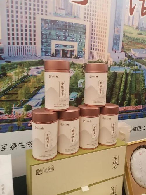 安康富硒饮用水西安产销推介会圆满举行 李安华作家出席助力产业升级